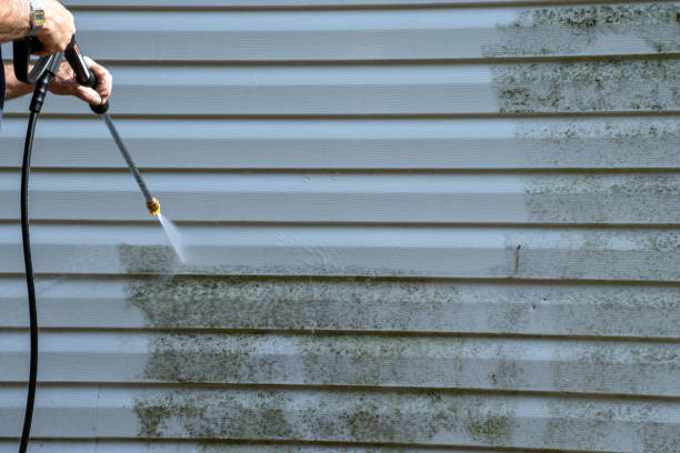 Best Aluminum Siding Installation  in Grant, MI
